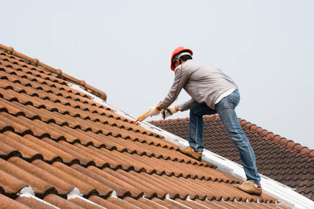 Best Hot Roofs  in Columbus, TX